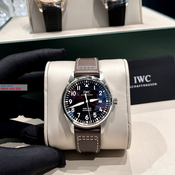 Đồng Hồ IWC Replica IW329301